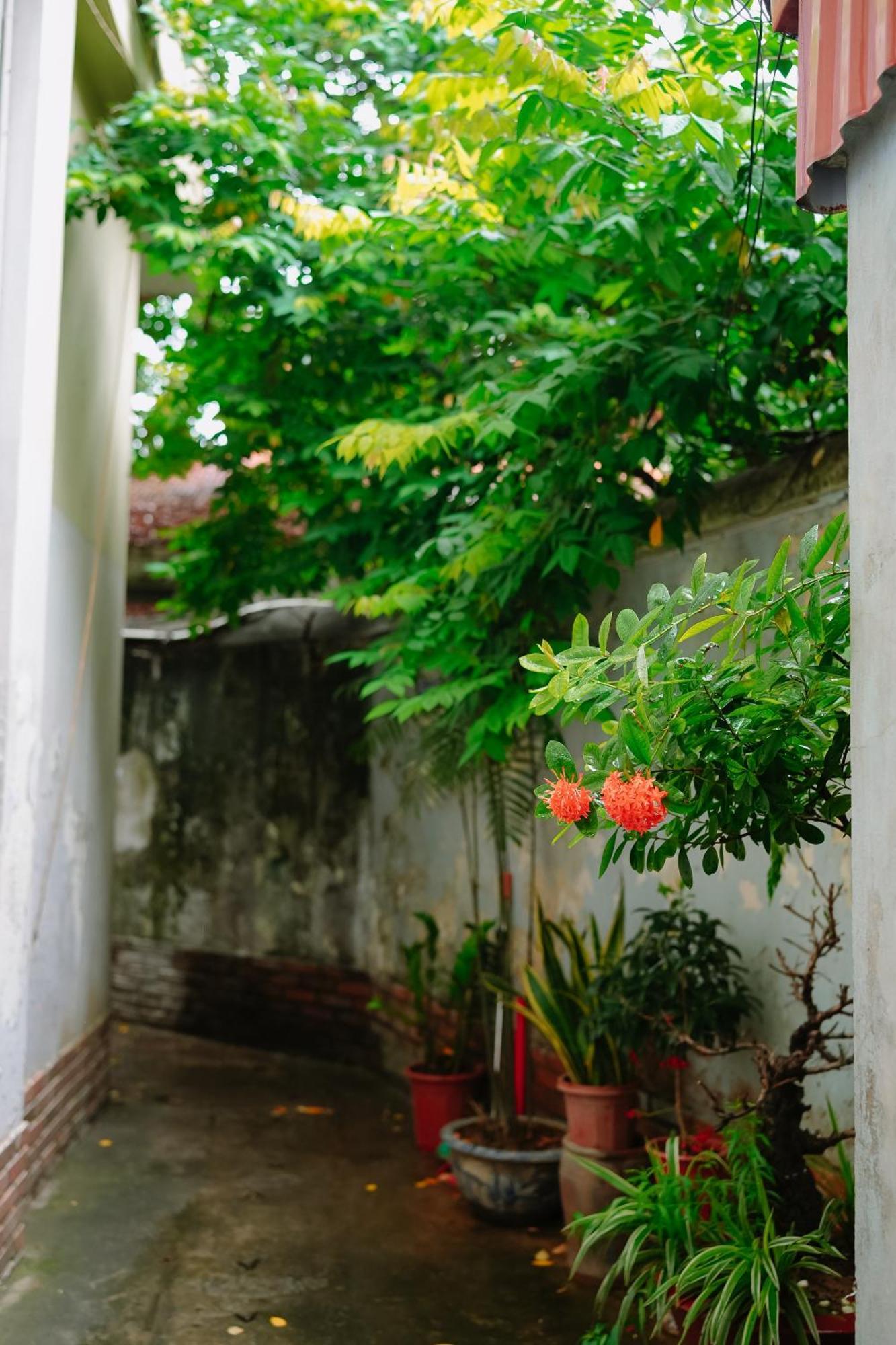 Morri Homestay - Quan Thanh Ханой Екстер'єр фото