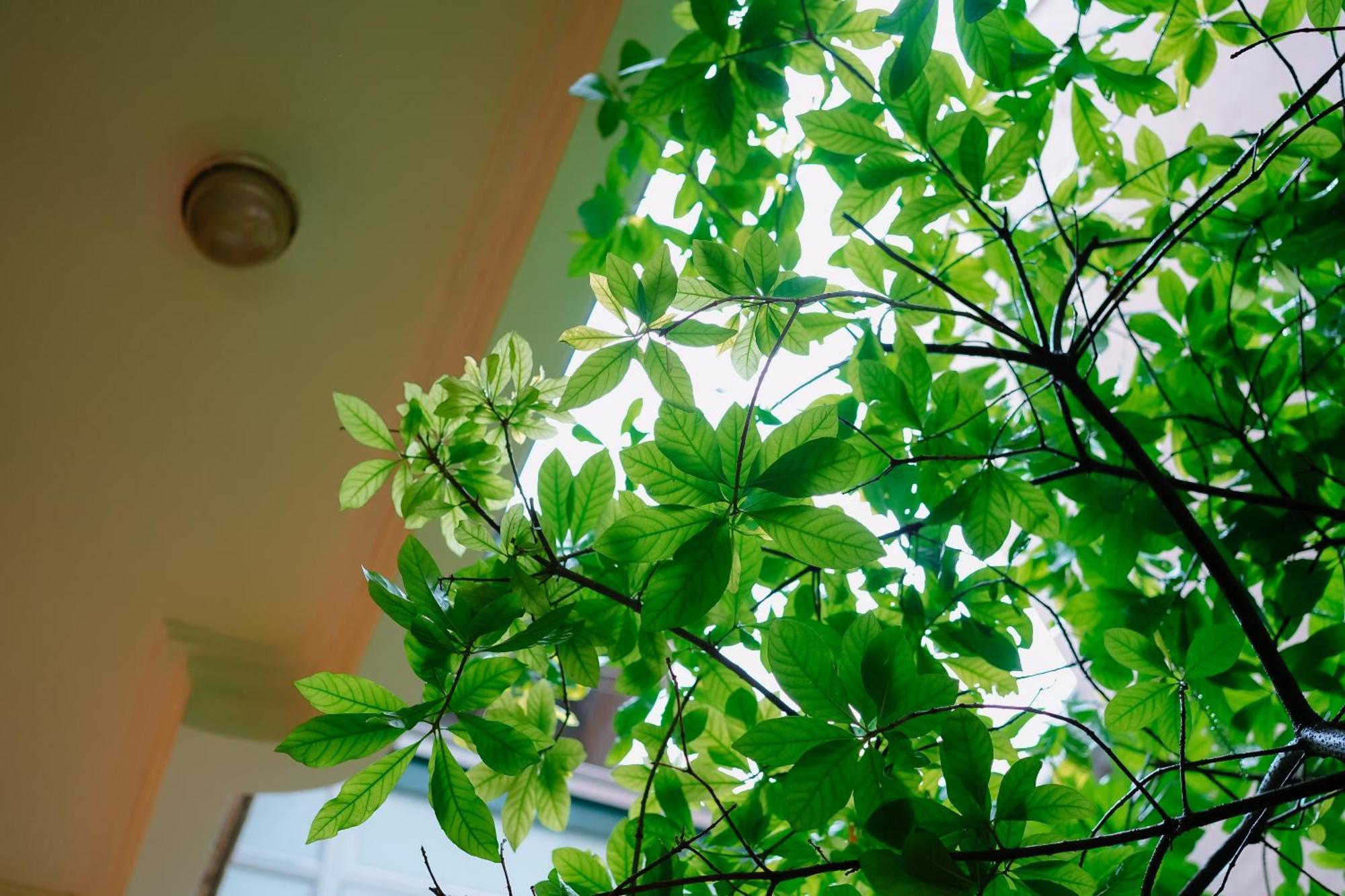 Morri Homestay - Quan Thanh Ханой Екстер'єр фото