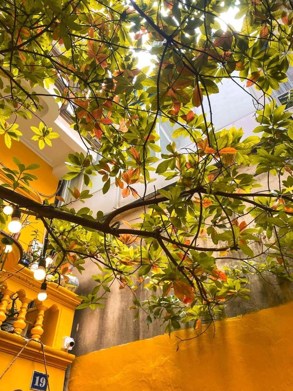 Morri Homestay - Quan Thanh Ханой Екстер'єр фото