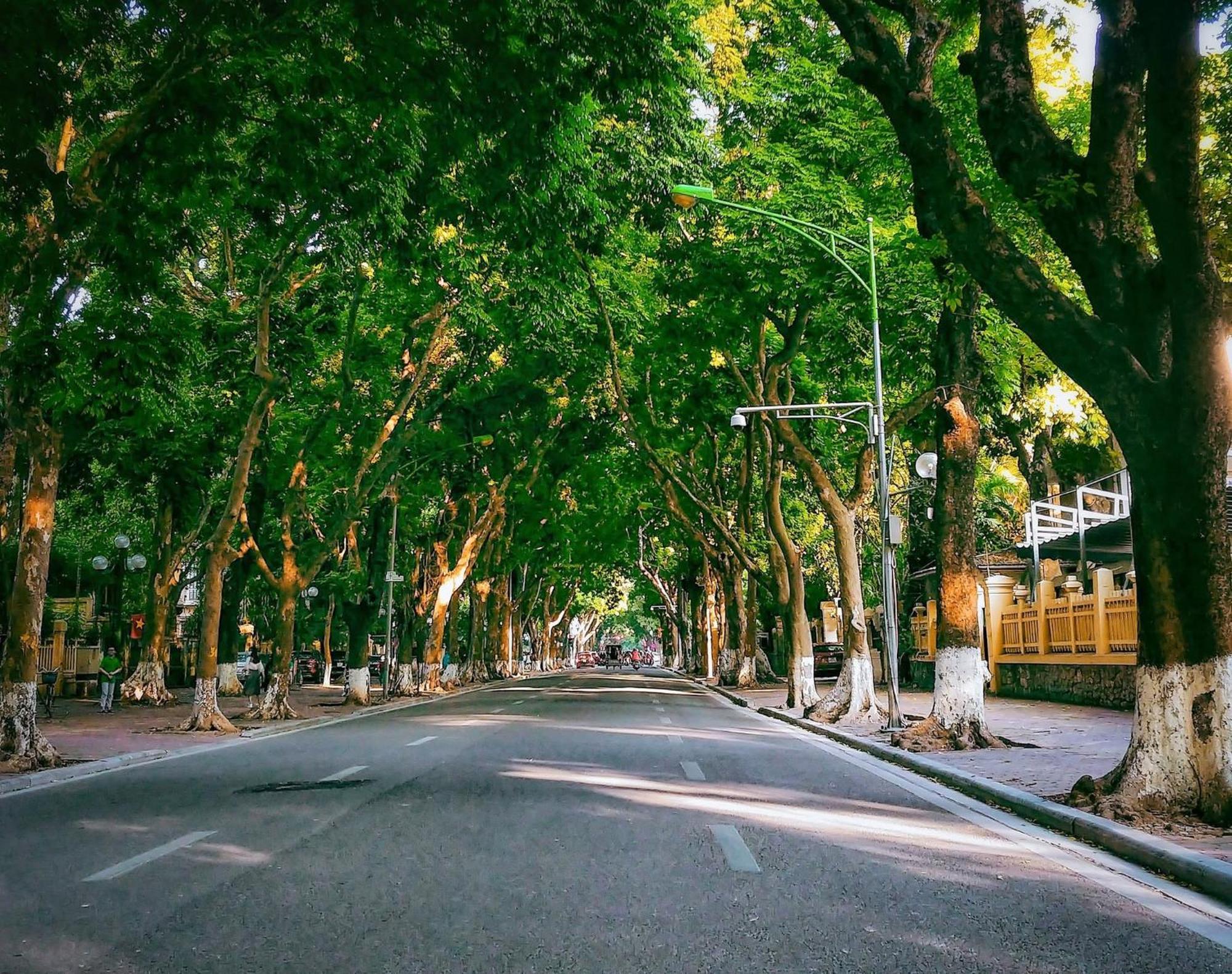 Morri Homestay - Quan Thanh Ханой Екстер'єр фото